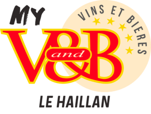 logo V&B Le Haillan